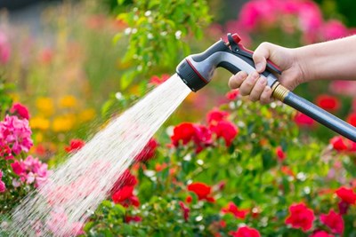 Water, Sewer Rates Remain Stable in 2016